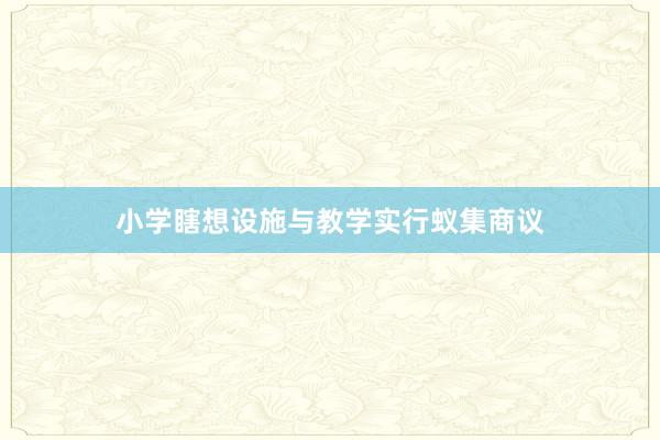 小学瞎想设施与教学实行蚁集商议