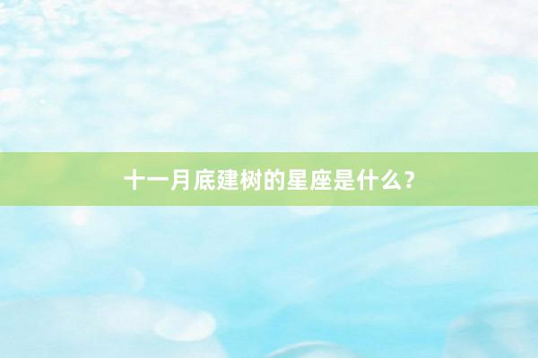 十一月底建树的星座是什么？