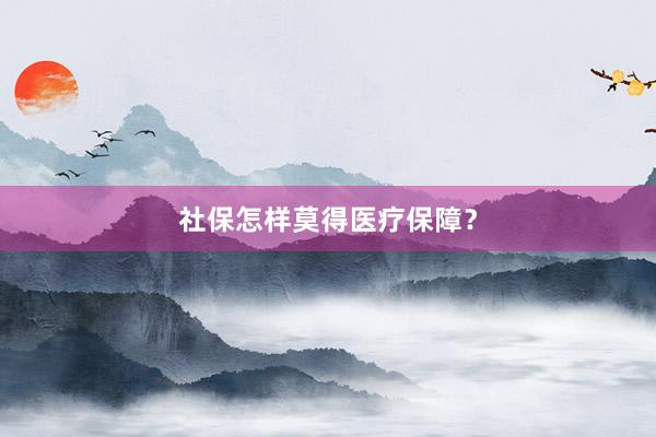 社保怎样莫得医疗保障？