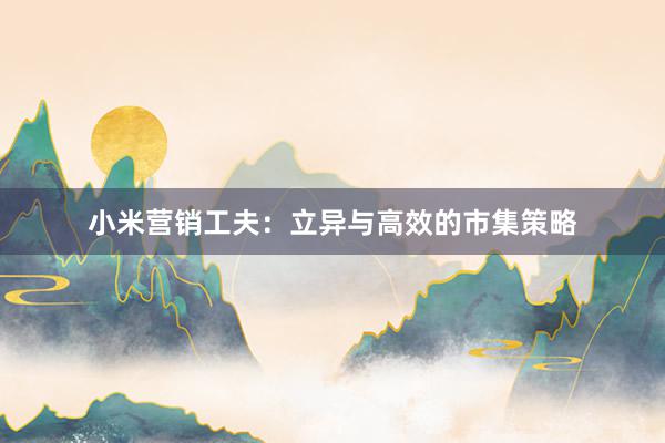 小米营销工夫：立异与高效的市集策略